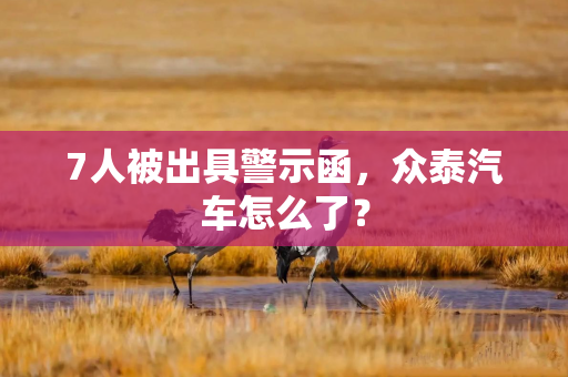 7人被出具警示函，众泰汽车怎么了？