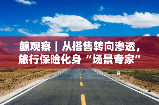 鲸观察｜从搭售转向渗透，旅行保险化身“场景专家”，精准营销重塑销售模式