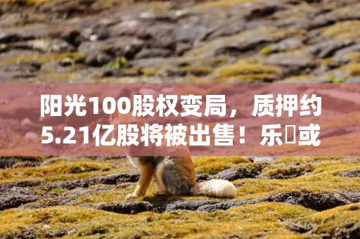 阳光100股权变局，质押约5.21亿股将被出售！乐昇或不再控股