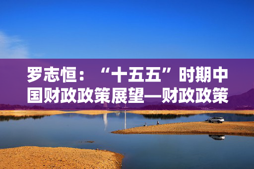 罗志恒：“十五五”时期中国财政政策展望—财政政策转型的必要性