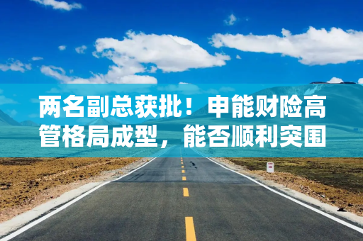 两名副总获批！申能财险高管格局成型，能否顺利突围？