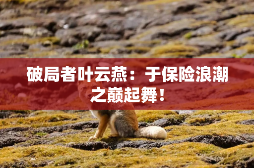 破局者叶云燕：于保险浪潮之巅起舞！