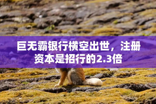 巨无霸银行横空出世，注册资本是招行的2.3倍