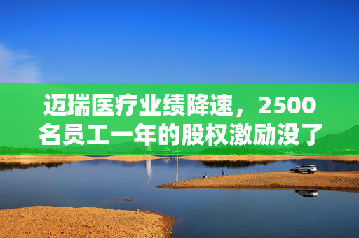 迈瑞医疗业绩降速，2500名员工一年的股权激励没了