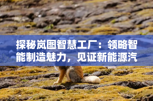 探秘岚图智慧工厂：领略智能制造魅力，见证新能源汽车崛起