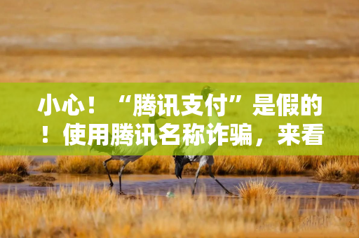小心！“腾讯支付”是假的！使用腾讯名称诈骗，来看细节
