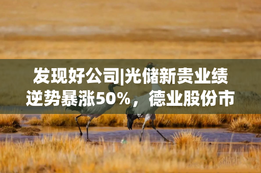 发现好公司|光储新贵业绩逆势暴涨50%，德业股份市值跻身行业前五，应收账款飙升两倍需警惕