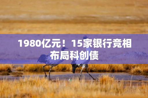 1980亿元！15家银行竞相布局科创债