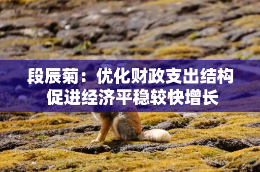 段辰菊：优化财政支出结构 促进经济平稳较快增长