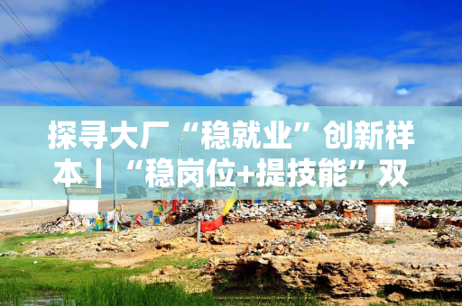探寻大厂“稳就业”创新样本｜“稳岗位+提技能”双轮驱动 传化集团打造人才发展新生态