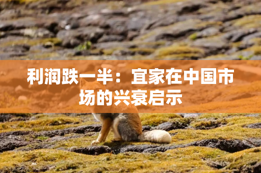 利润跌一半：宜家在中国市场的兴衰启示