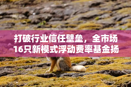 打破行业信任壁垒，全市场16只新模式浮动费率基金扬帆起航