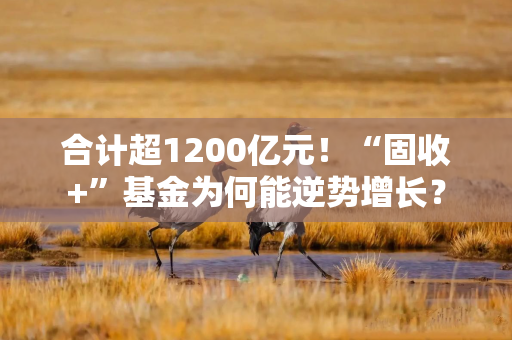 合计超1200亿元！“固收+”基金为何能逆势增长？