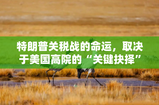 特朗普关税战的命运，取决于美国高院的“关键抉择”