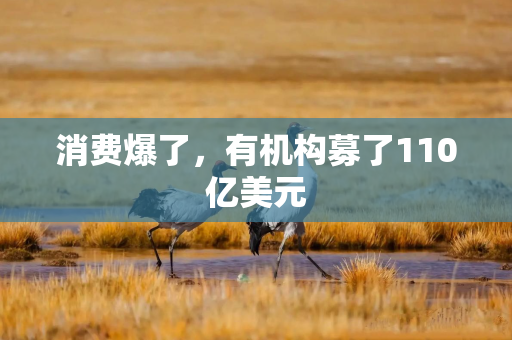 消费爆了，有机构募了110亿美元