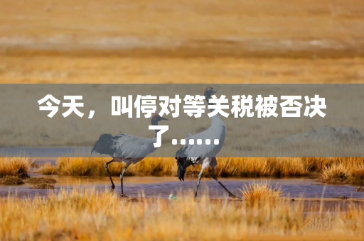 今天，叫停对等关税被否决了……