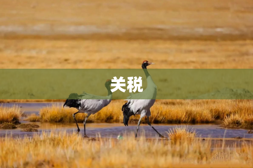 关税