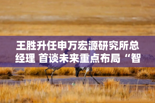 王胜升任申万宏源研究所总经理 首谈未来重点布局“智能投研”