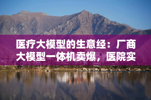 医疗大模型的生意经：厂商大模型一体机卖爆，医院实际使用场景却少