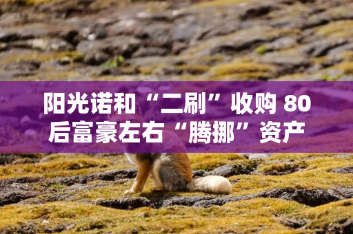 阳光诺和“二刷”收购 80后富豪左右“腾挪”资产