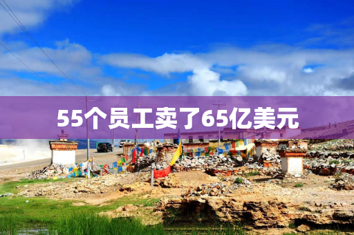 55个员工卖了65亿美元