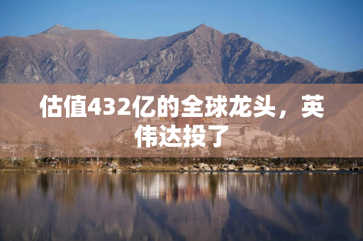 估值432亿的全球龙头，英伟达投了