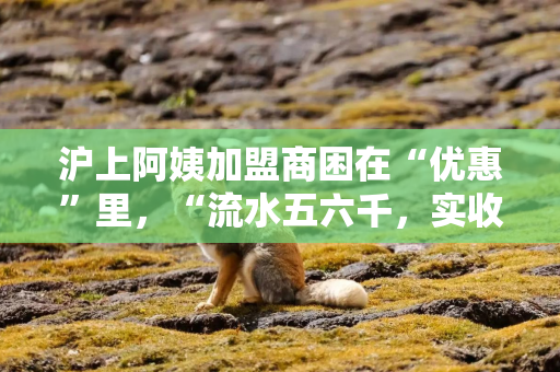 沪上阿姨加盟商困在“优惠”里，“流水五六千，实收两三千”