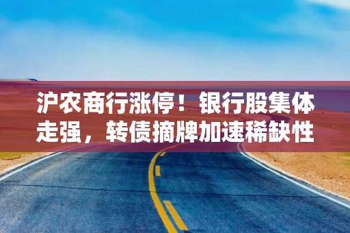 沪农商行涨停！银行股集体走强，转债摘牌加速稀缺性凸显