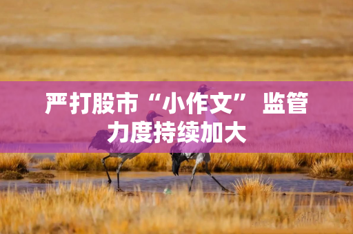 严打股市“小作文” 监管力度持续加大