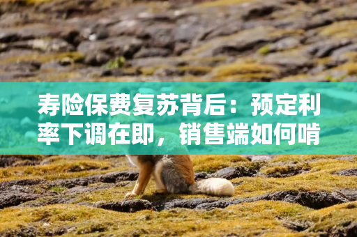 寿险保费复苏背后：预定利率下调在即，销售端如何啃下分红险“硬骨头”