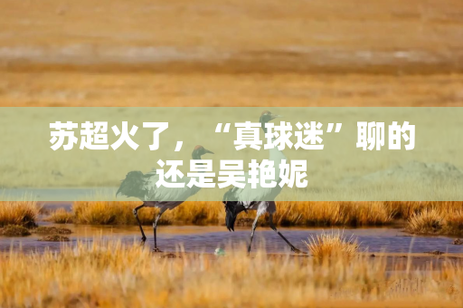 苏超火了，“真球迷”聊的还是吴艳妮