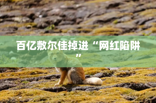 百亿敷尔佳掉进“网红陷阱”