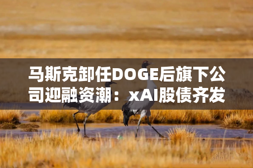 马斯克卸任DOGE后旗下公司迎融资潮：xAI股债齐发，Neuralink也募资