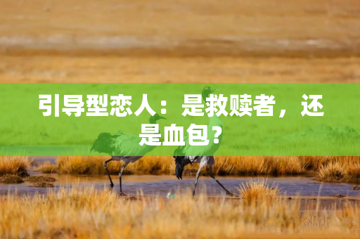 引导型恋人：是救赎者，还是血包？