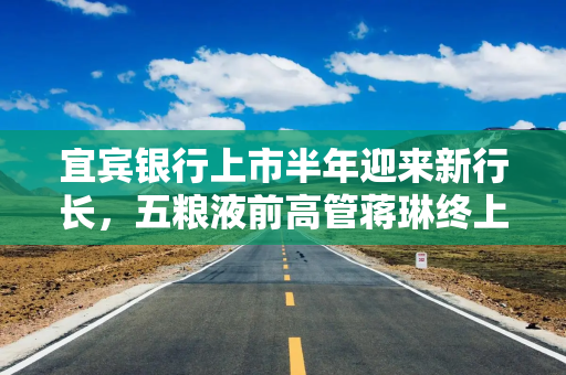 宜宾银行上市半年迎来新行长，五粮液前高管蒋琳终上位