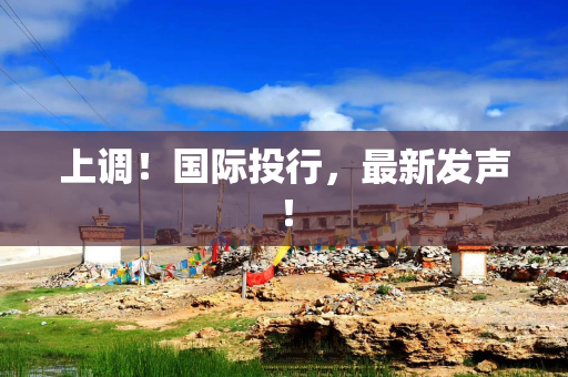 上调！国际投行，最新发声！