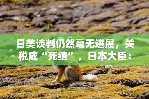日美谈判仍然毫无进展，关税成“死结”，日本大臣：双方“尚未找到共识”
