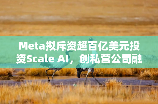 Meta拟斥资超百亿美元投资Scale AI，创私营公司融资新纪录