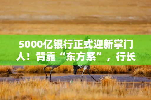 5000亿银行正式迎新掌门人！背靠“东方系”，行长一职仍空缺