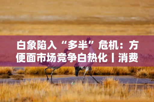 白象陷入“多半”危机：方便面市场竞争白热化丨消费参考