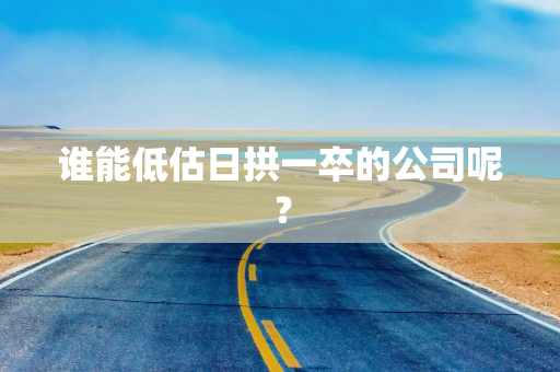 谁能低估日拱一卒的公司呢？