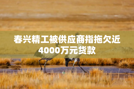 春兴精工被供应商指拖欠近4000万元货款