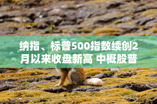 纳指、标普500指数续创2月以来收盘新高 中概股普遍上涨