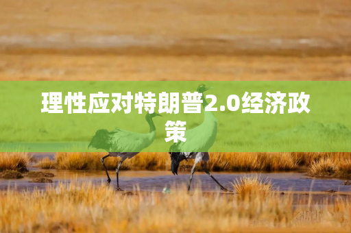 理性应对特朗普2.0经济政策