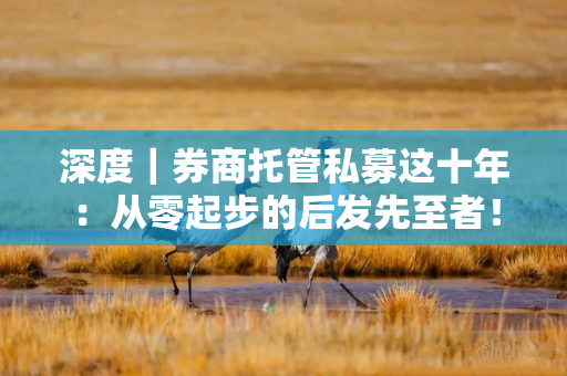 深度｜券商托管私募这十年：从零起步的后发先至者！