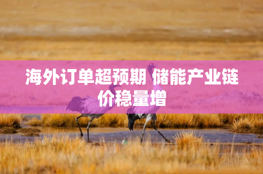 海外订单超预期 储能产业链价稳量增