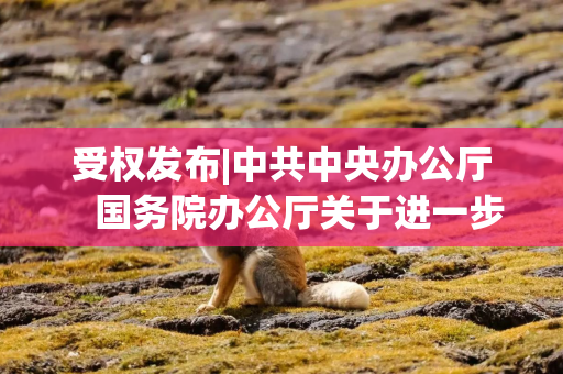 受权发布|中共中央办公厅　国务院办公厅关于进一步保障和改善民生　着力解决群众急难愁盼的意见
