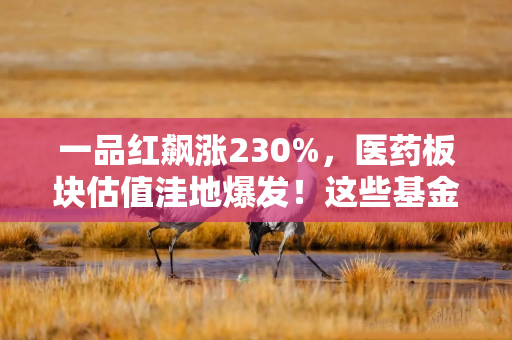 一品红飙涨230%，医药板块估值洼地爆发！这些基金经理提前埋伏