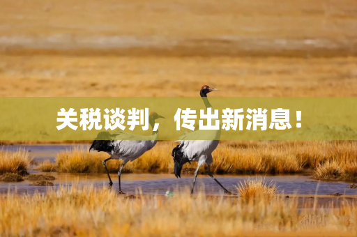关税谈判，传出新消息！