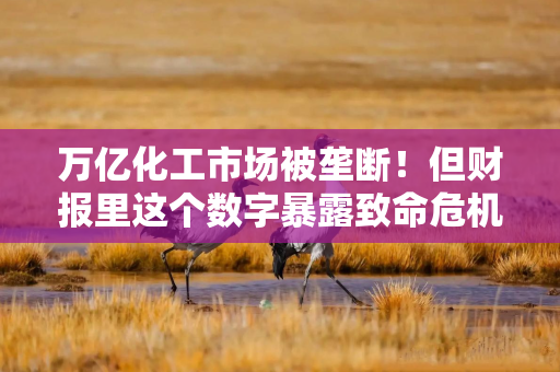万亿化工市场被垄断！但财报里这个数字暴露致命危机！